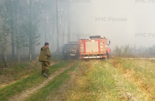  В Пестяковском районе тушили лесной пожар 